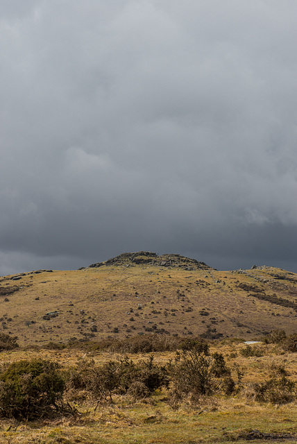 Dartmoor - 20130412