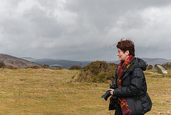 Dartmoor - 20130412