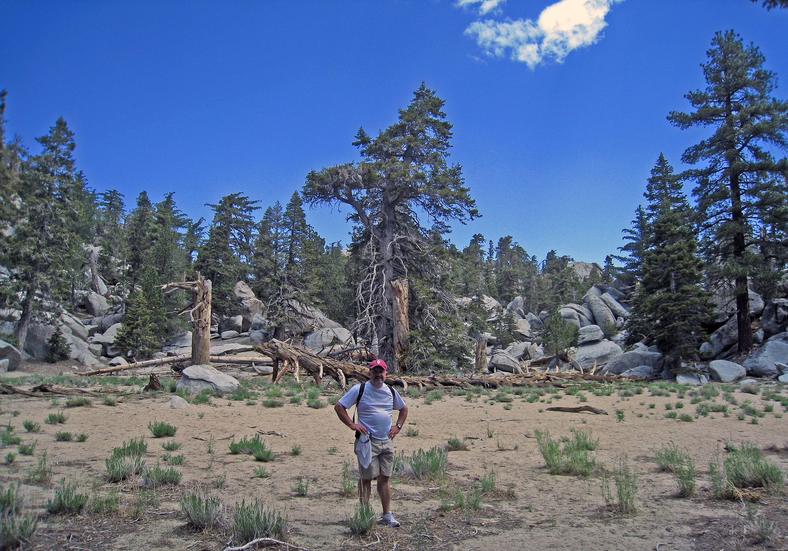 Johnny on Mt San Jacinto (1314)