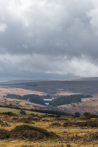 Dartmoor - 20130412
