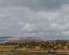 Dartmoor - 20130412