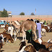 Marché à Tamanghasset, Algérie