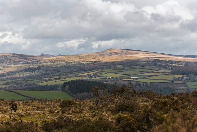 Dartmoor - 20130412