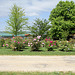 Carré de présentation des Pivoines arbustives