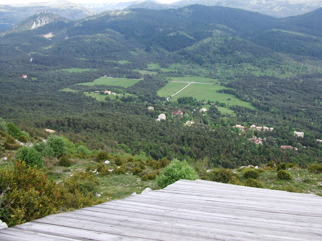 2008 06150037