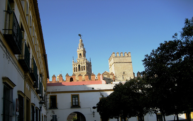 Sevilla, La Giralda seen from the Alcázares Reales, Patio de Banderas