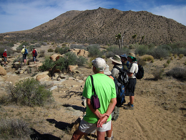 Hike in Joshua Tree (4584)