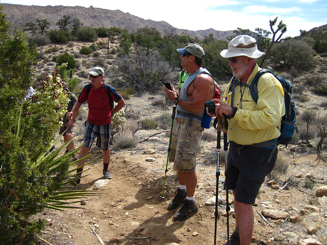 Hike in Joshua Tree (4591)