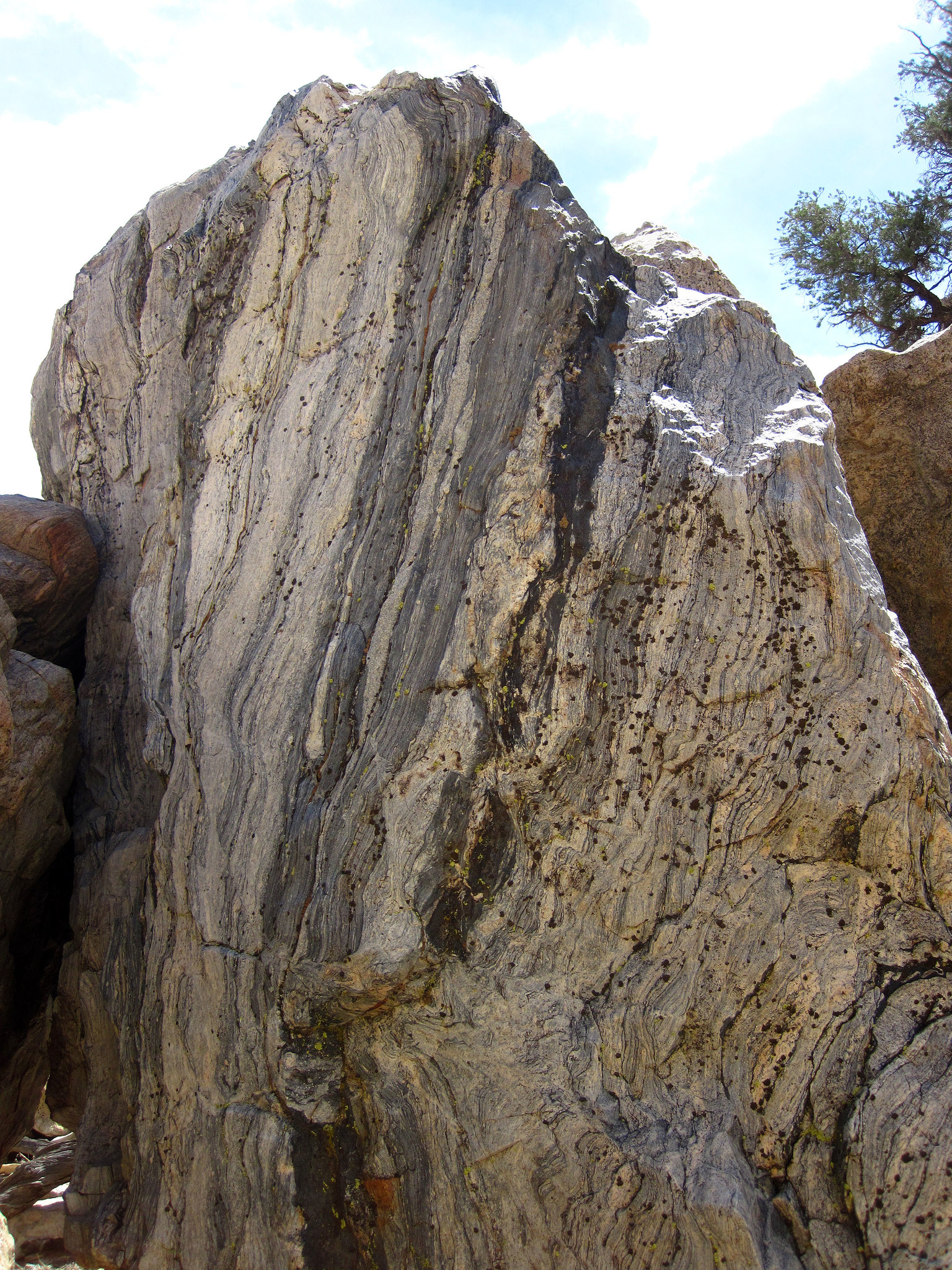 Hike in Joshua Tree (4595)