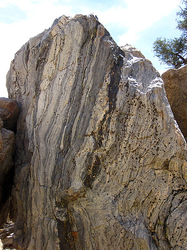 Hike in Joshua Tree (4595)