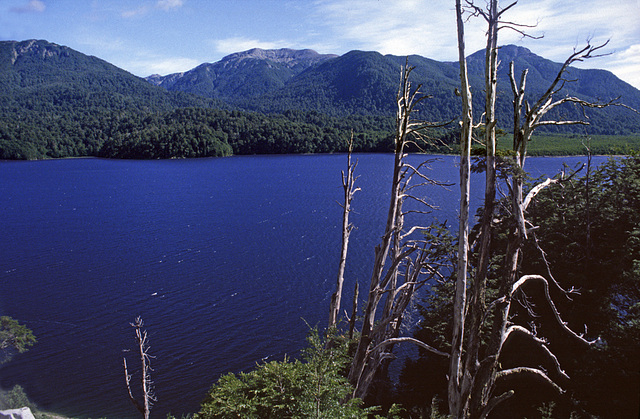 Lago Traful