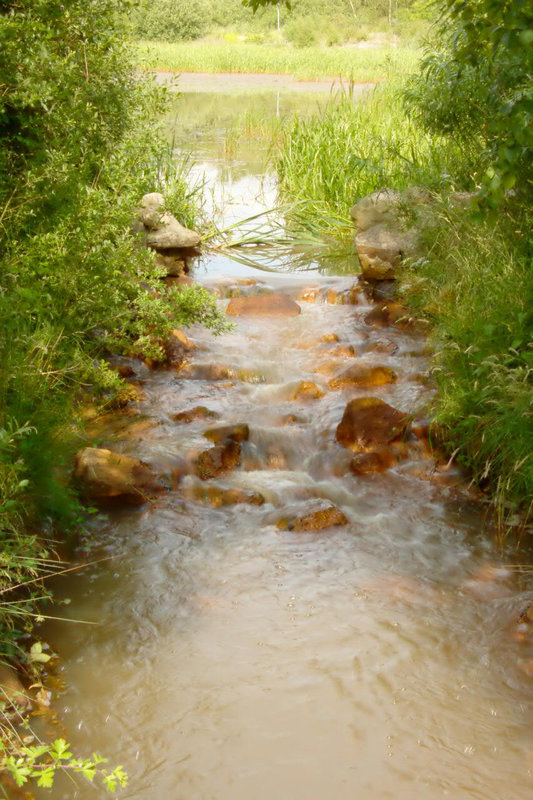 Spangsbjerg mill