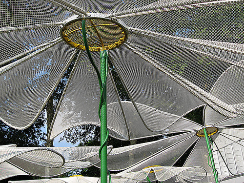 Butterfly umbrellas