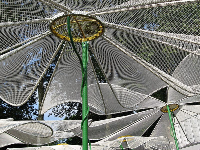 Butterfly umbrellas