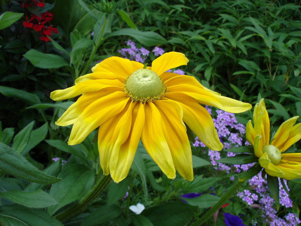 Vier Farben
