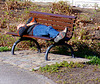 Relaxing on a bench