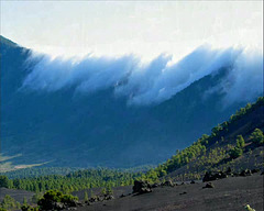 Vulkanwanderung - Ruta de los vulcanos auf LA PALMA - Isla Bonita