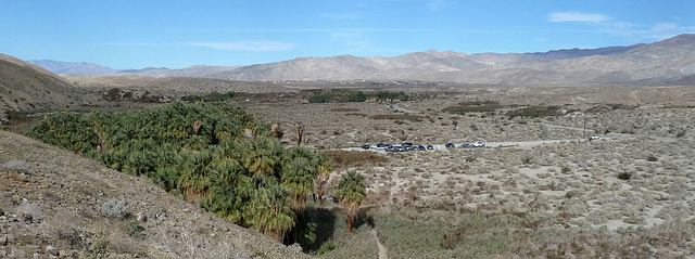 Coachella Valley Preserve (2712)