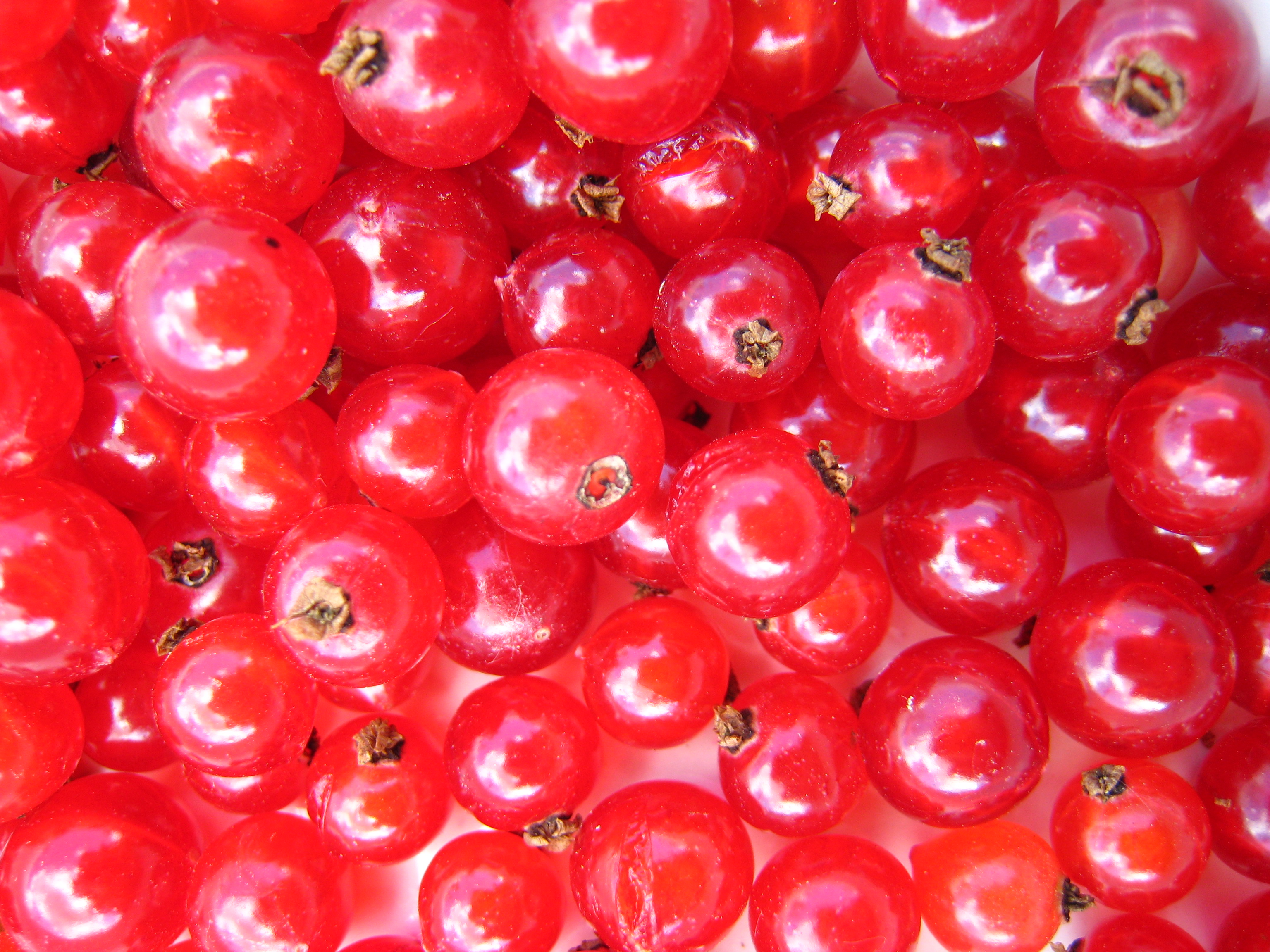 Perles rouges sucrées