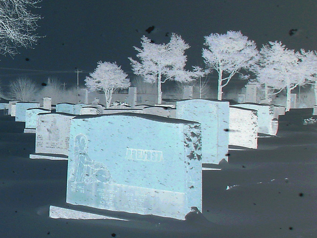 Prévost se prévaut monumentalement  /   Prévost's monument -  Dans ma ville  /  Hometown  -  Photofiltrée en négatif. 18-01-2009.