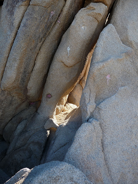 Near Petroglyphs (2674)