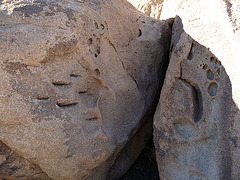 Near Petroglyphs (2680)