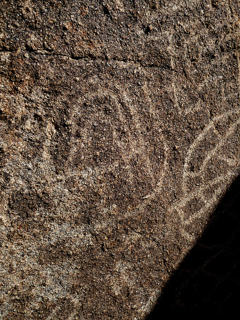 Petroglyph (2666)