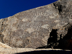 Petroglyph (2667)