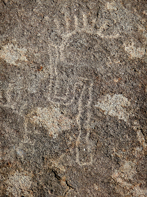 Petroglyph (2670)