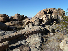 Petroglyph Area (2663)