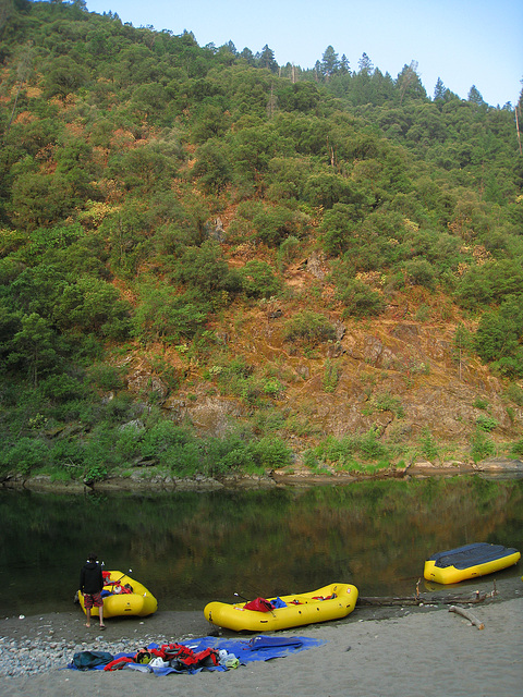 Morning On The American River (1220)