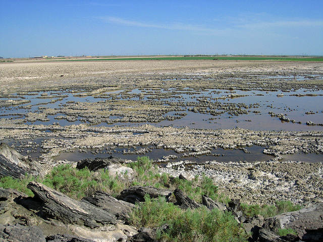 Salton Sea at Obsidian Butte (1352)