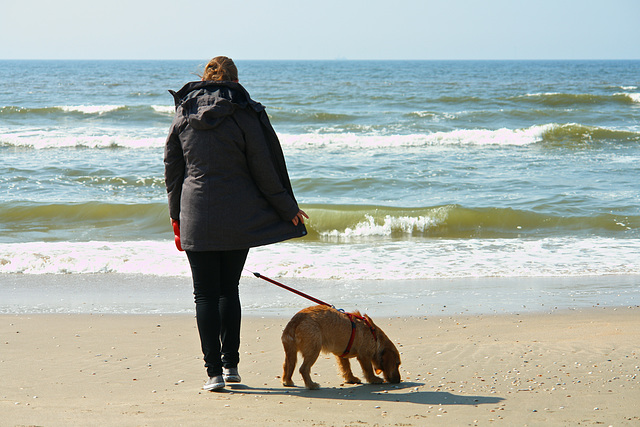 On the beach