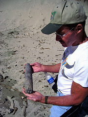 Probable Indian Tool at Willow Hole Oasis (0960)