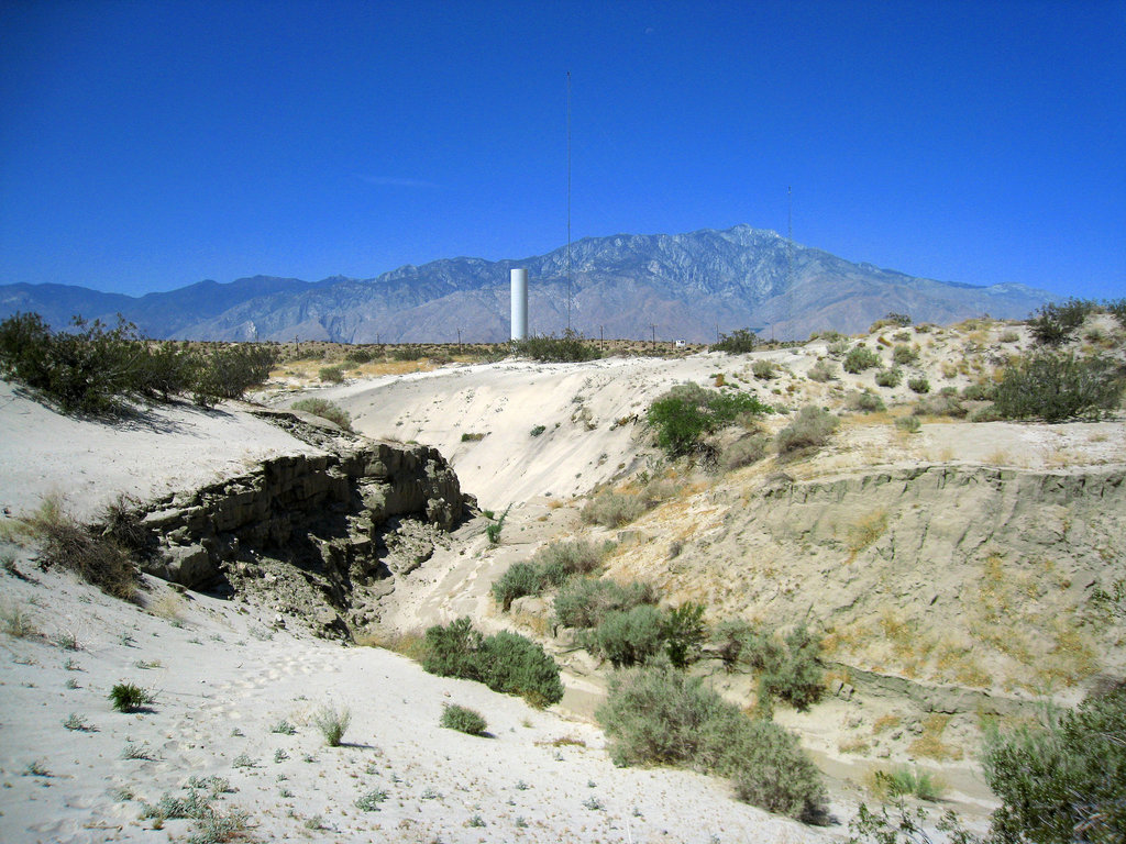 Willow Hole Oasis (0971)