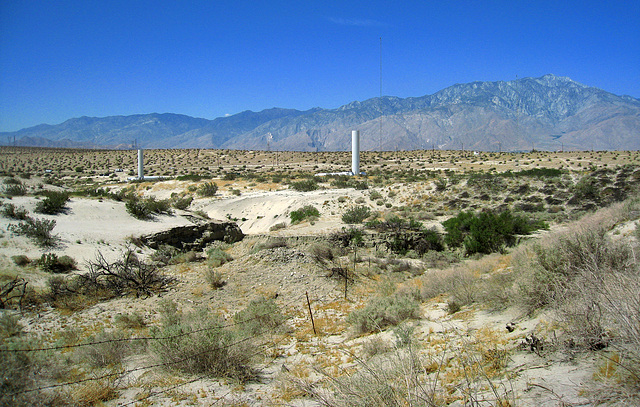 Willow Hole Oasis (0972)