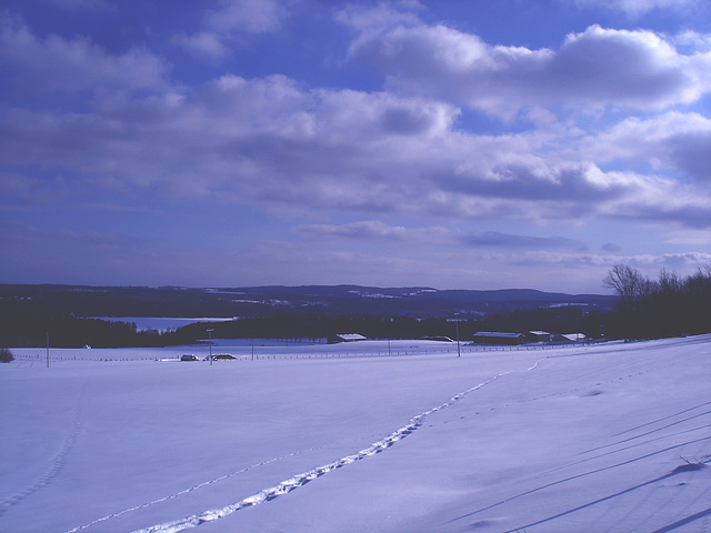 Winter landscapes / Paysages d'hiver au Québec