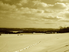 Winter landscapes / Paysages d'hiver au Québec /  St-Benoit-du-lac  -  Février 2009- Sepia