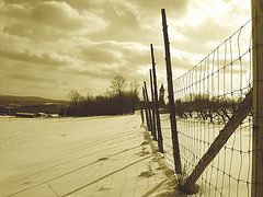 Abbaye de St-Benoit-du-lac au Québec /  Paysage d'hiver - Winter landscapes -  Février 2009 - Sepia