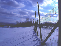 Paysage monastique d'hiver québécois - Winter landscapes