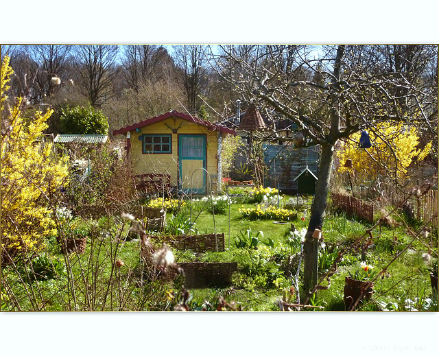 Sabine's kleiner Zaubergarten erwacht ☼