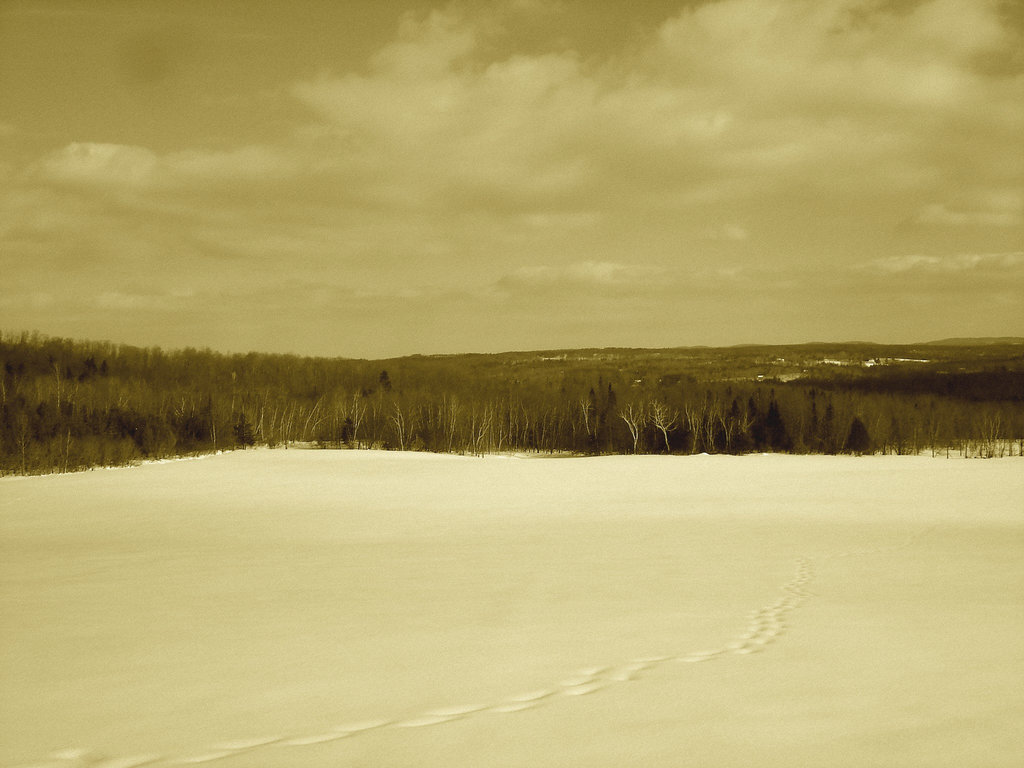 Paysage de l'hiver Québecois /   Quebec winter landscapes -  St-Benoit-du-lac .  Février 2009-  Sepia