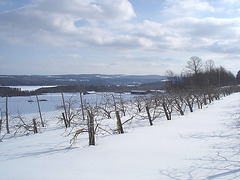 Winter at its best / Beauté hivernale à St-Benoit-du-lac au Québec  - Février 2009