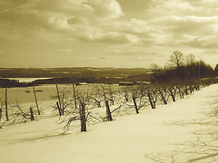 Beauté hivernale à St-Benoit-du-lac au Québec  - Février 2009- Sepia