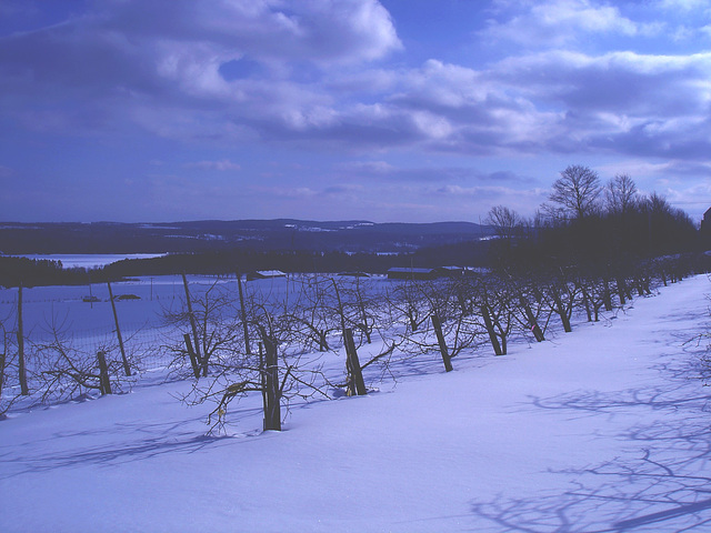 Beauté hivernale à St-Benoit-du-lac au Québec  - Février 2009-  Effet nuit