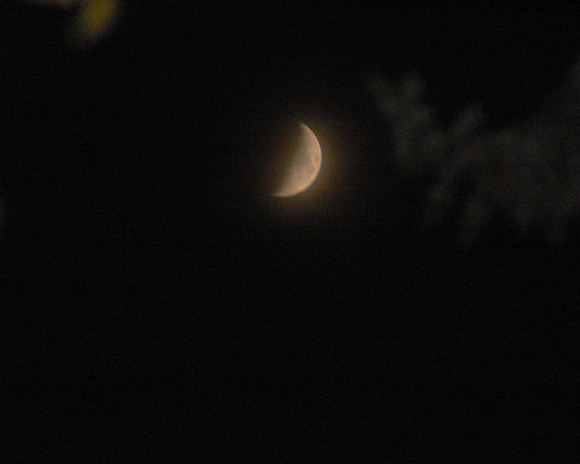 la lune croissante