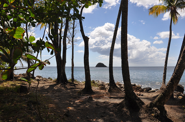 MARTINIQUE