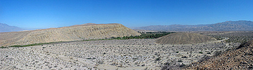 Coachella Valley Preserve