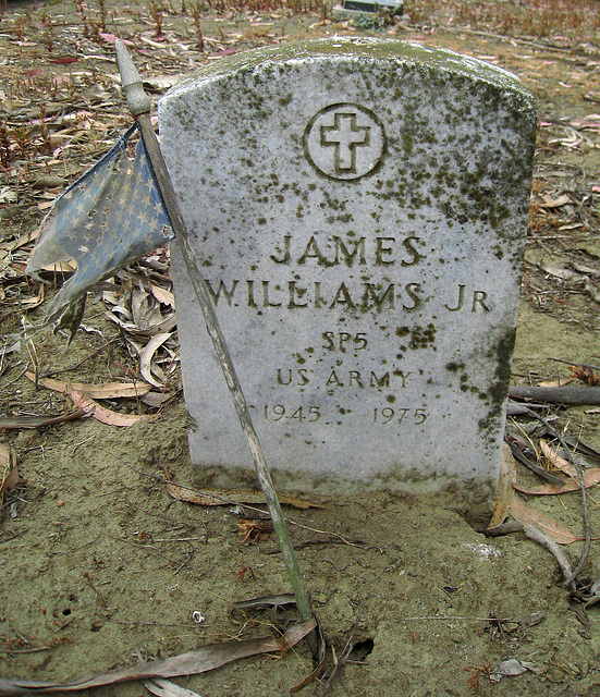 Greenlawn Cemetery - Nonendowment Care Section - James Williams (1241)