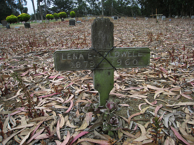 Greenlawn Cemetery - Nonendowment Care Section - Lena E. Caldwell (1244)